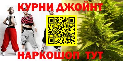 гашик Ливны