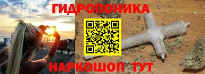 гашик Ливны