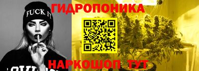 гидропоника Лесосибирск