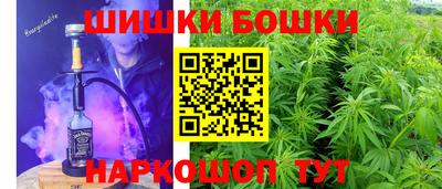 гашик Ливны
