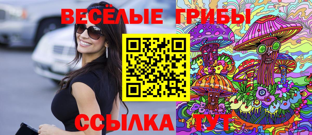 Галлюциногенные грибы Magic Shrooms Избербаш
